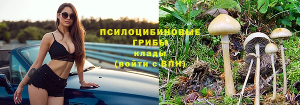 ПСИЛОЦИБИНОВЫЕ ГРИБЫ Алзамай