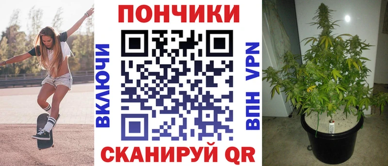 Бошки марихуана индика  Фролово 